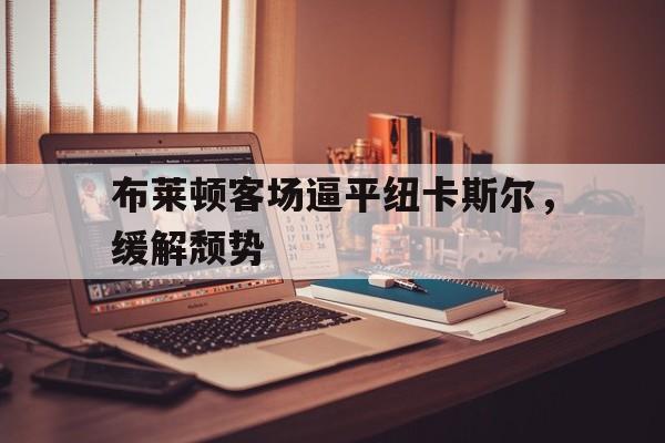 布莱顿客场逼平纽卡斯尔，缓解颓势的简单介绍